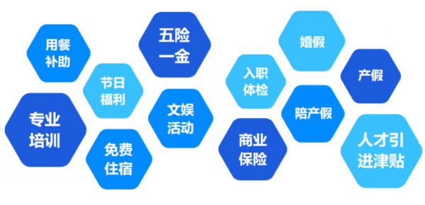 提供全面、系统、专业的培训和广阔的<br>职业发展空间和提升机会